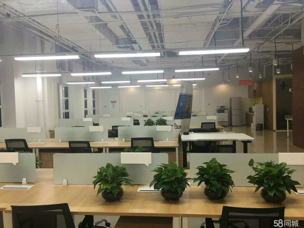 深耕天津 万盛嘉禾的国际贸易智慧升级与软件开发新动能